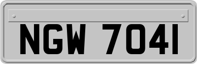 NGW7041