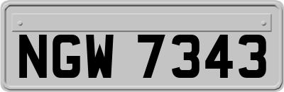 NGW7343