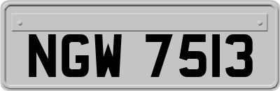 NGW7513