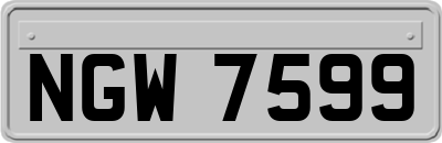 NGW7599