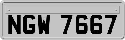 NGW7667