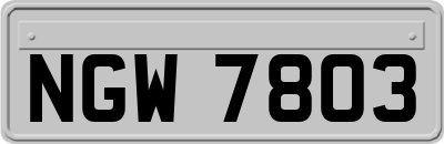 NGW7803