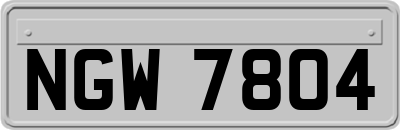 NGW7804