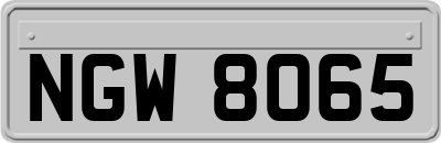 NGW8065