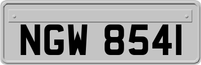 NGW8541