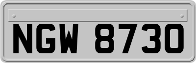 NGW8730