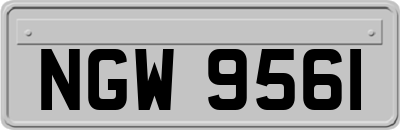 NGW9561