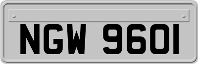 NGW9601