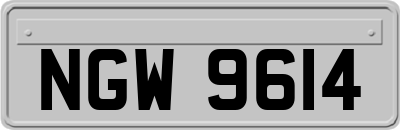 NGW9614