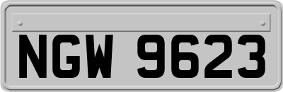 NGW9623