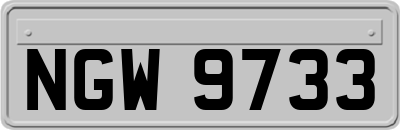 NGW9733