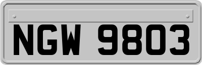 NGW9803