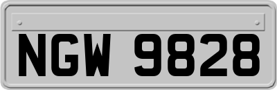 NGW9828