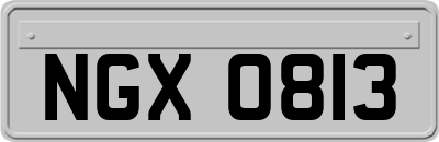 NGX0813
