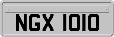 NGX1010