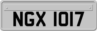 NGX1017