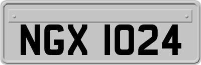 NGX1024