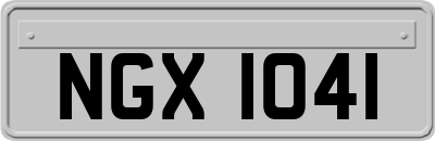 NGX1041