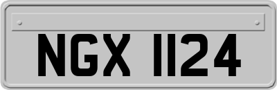 NGX1124