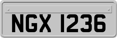NGX1236