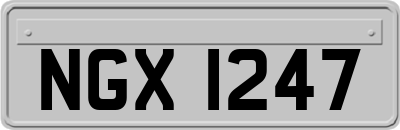 NGX1247