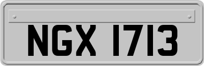 NGX1713