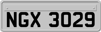 NGX3029