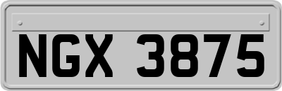 NGX3875