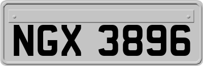 NGX3896