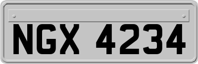 NGX4234