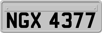 NGX4377