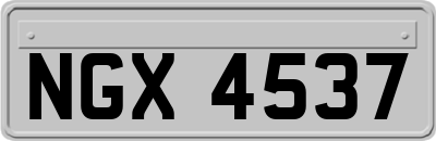 NGX4537