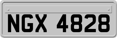 NGX4828