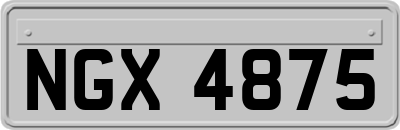 NGX4875