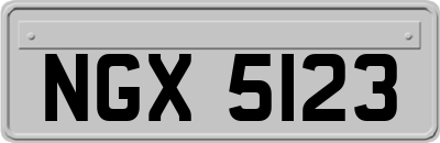 NGX5123