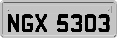 NGX5303