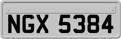 NGX5384