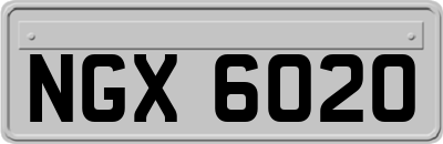 NGX6020