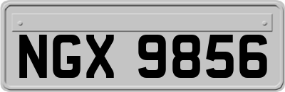 NGX9856