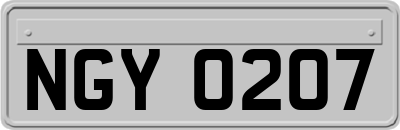 NGY0207