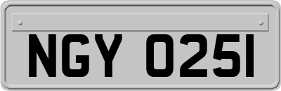 NGY0251