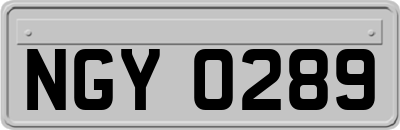 NGY0289
