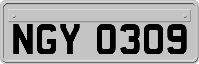 NGY0309