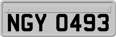NGY0493