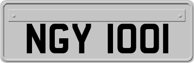 NGY1001