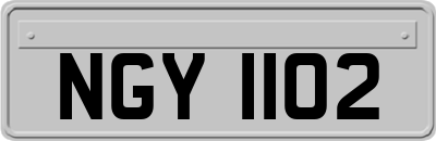 NGY1102