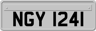 NGY1241