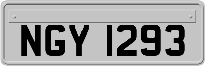 NGY1293