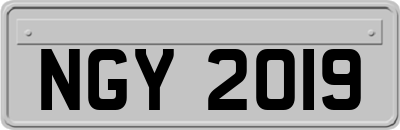 NGY2019