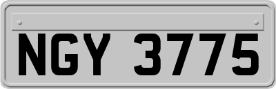 NGY3775